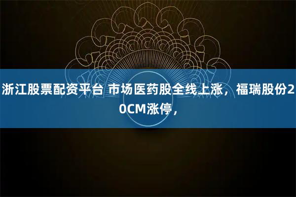 浙江股票配资平台 市场医药股全线上涨，福瑞股份20CM涨停，