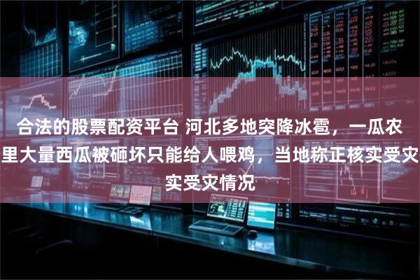 合法的股票配资平台 河北多地突降冰雹，一瓜农称地里大量西瓜被砸坏只能给人喂鸡，当地称正核实受灾情况