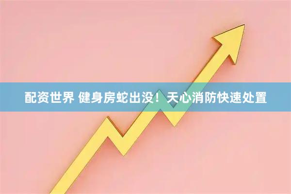 配资世界 健身房蛇出没！天心消防快速处置